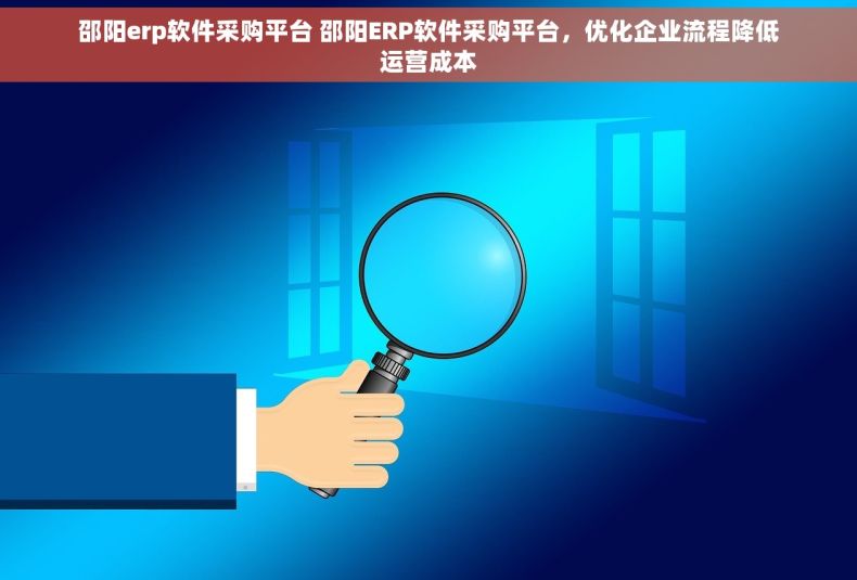 邵阳erp软件采购平台 邵阳ERP软件采购平台，优化企业流程降低运营成本
