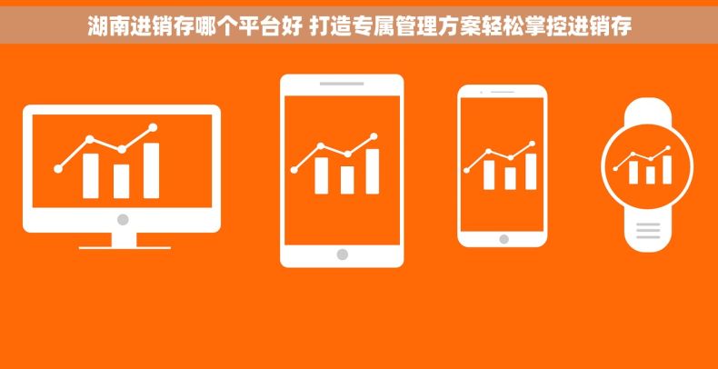 湖南进销存哪个平台好 打造专属管理方案轻松掌控进销存