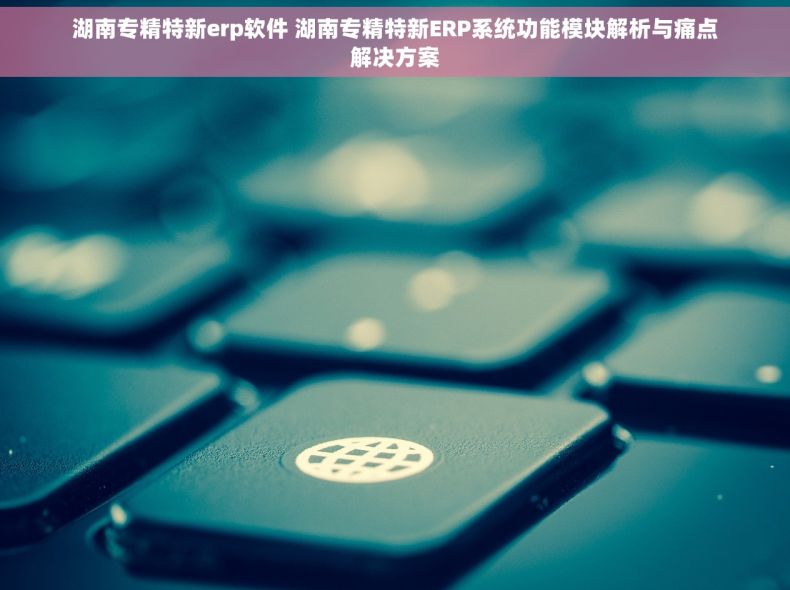 湖南专精特新erp软件 湖南专精特新ERP系统功能模块解析与痛点解决方案