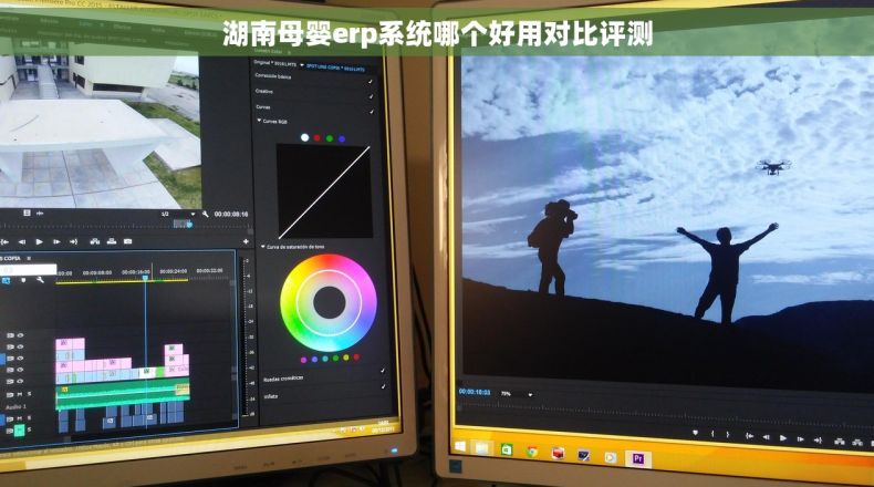 湖南母婴erp系统哪个好用对比评测