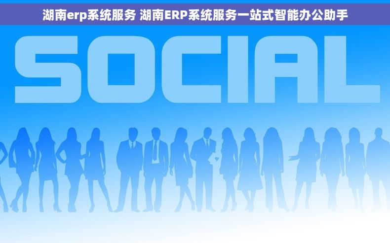 湖南erp系统服务 湖南ERP系统服务一站式智能办公助手