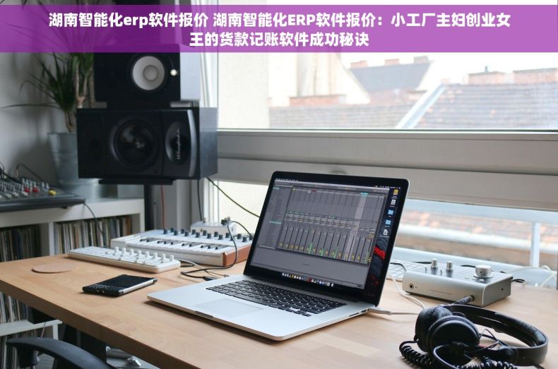 湖南智能化erp软件报价 湖南智能化ERP软件报价：小工厂主妇创业女王的货款记账软件成功秘诀