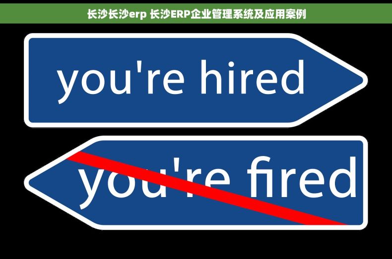 长沙长沙erp 长沙ERP企业管理系统及应用案例