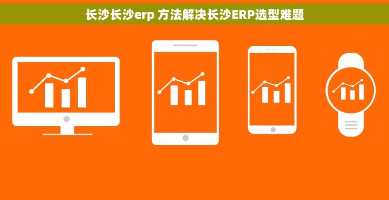 长沙长沙erp 方法解决长沙ERP选型难题