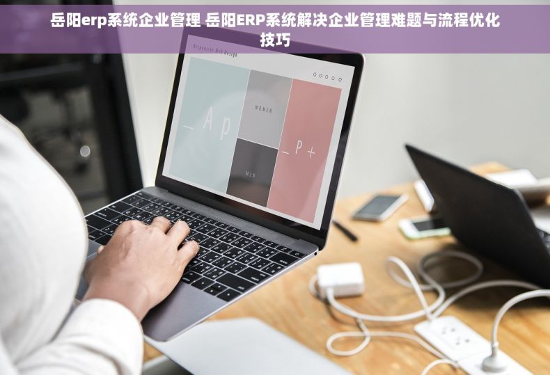 岳阳erp系统企业管理 岳阳ERP系统解决企业管理难题与流程优化技巧