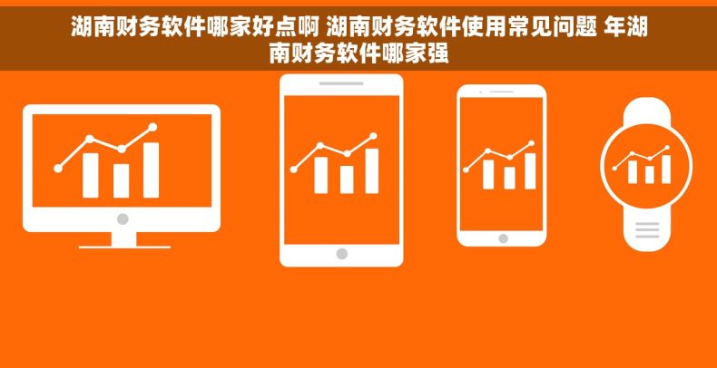 湖南财务软件哪家好点啊 湖南财务软件使用常见问题 年湖南财务软件哪家强