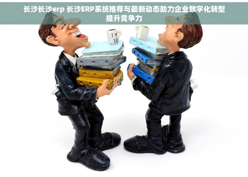 长沙长沙erp 长沙ERP系统推荐与最新动态助力企业数字化转型提升竞争力