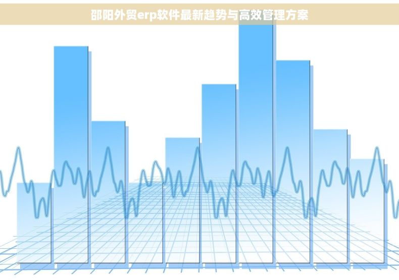 邵阳外贸erp软件最新趋势与高效管理方案