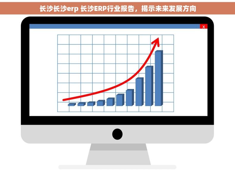 长沙长沙erp 长沙ERP行业报告，揭示未来发展方向