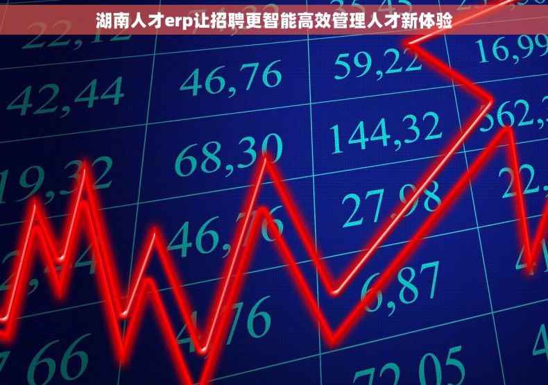 湖南人才erp让招聘更智能高效管理人才新体验
