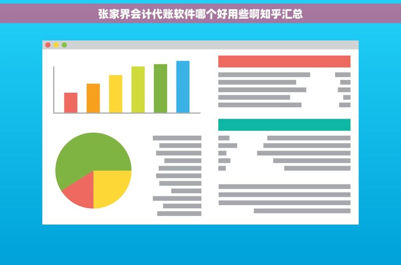 张家界会计代账软件哪个好用些啊知乎汇总