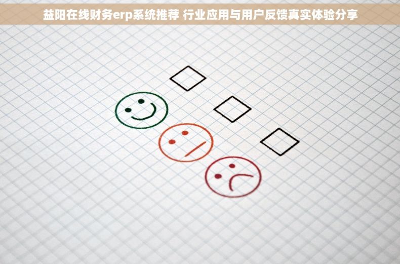 益阳在线财务erp系统推荐 行业应用与用户反馈真实体验分享