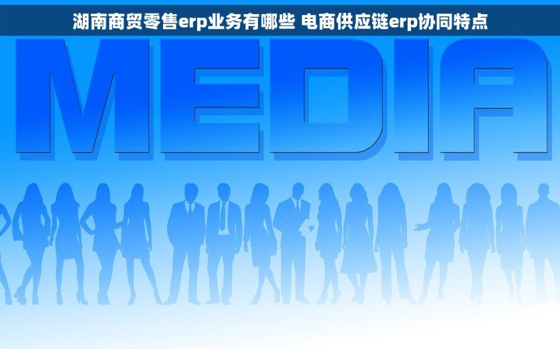 湖南商贸零售erp业务有哪些 电商供应链erp协同特点