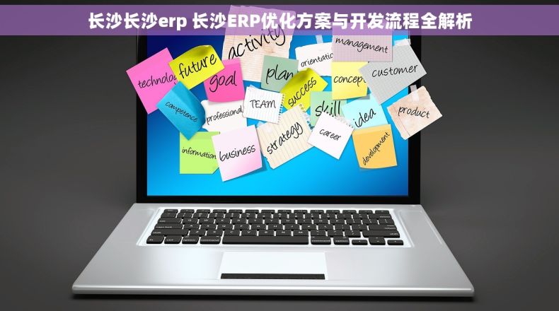 长沙长沙erp 长沙ERP优化方案与开发流程全解析