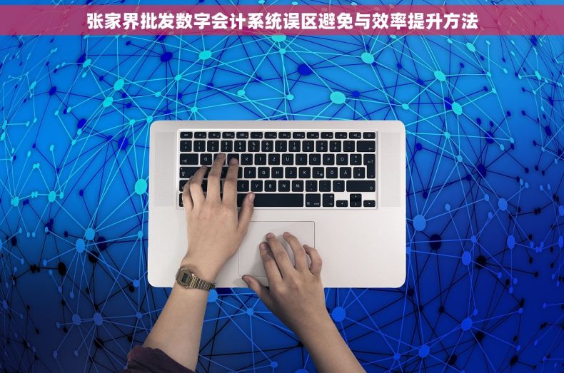 张家界批发数字会计系统误区避免与效率提升方法