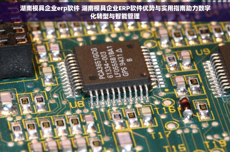 湖南模具企业erp软件 湖南模具企业ERP软件优势与实用指南助力数字化转型与智能管理