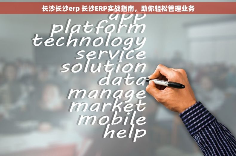 长沙长沙erp 长沙ERP实战指南，助你轻松管理业务