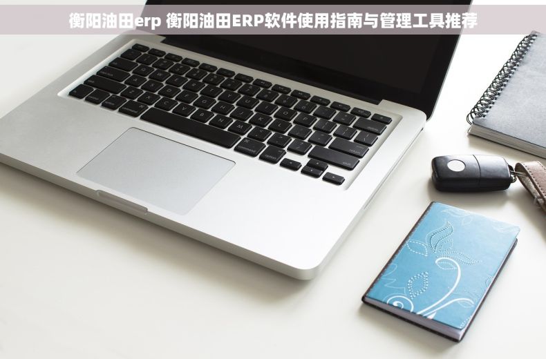 衡阳油田erp 衡阳油田ERP软件使用指南与管理工具推荐
