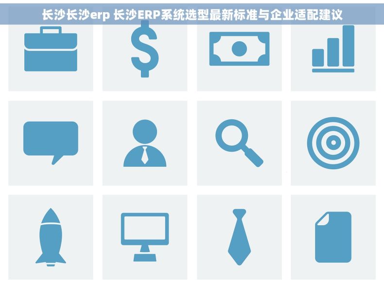 长沙长沙erp 长沙ERP系统选型最新标准与企业适配建议