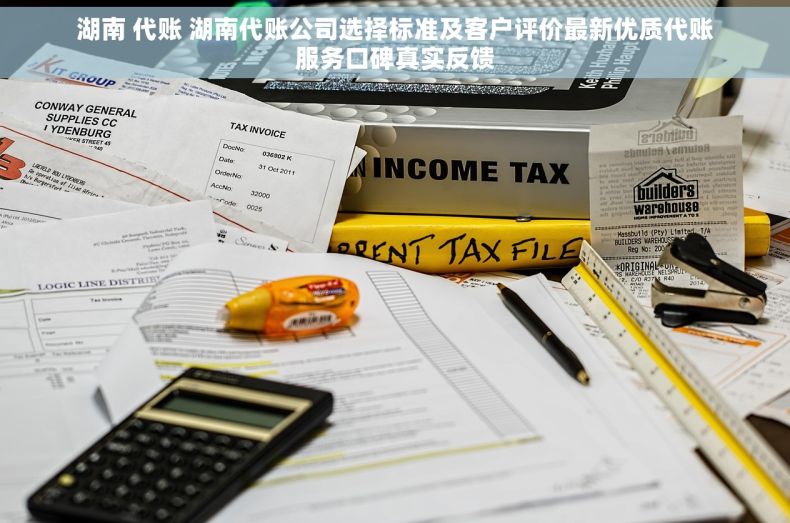 湖南 代账 湖南代账公司选择标准及客户评价最新优质代账服务口碑真实反馈