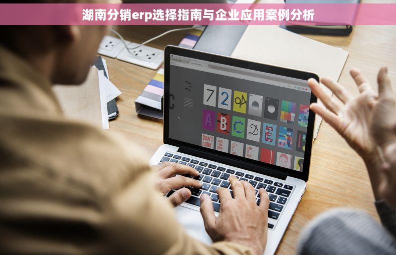 湖南分销erp选择指南与企业应用案例分析