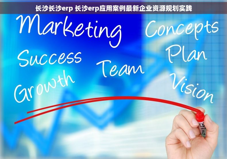 长沙长沙erp 长沙erp应用案例最新企业资源规划实践