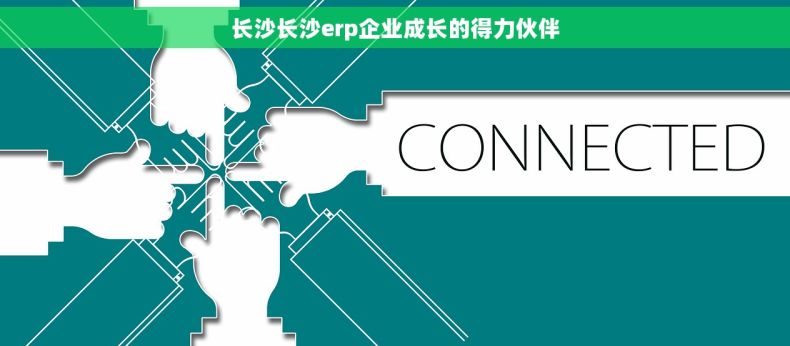 长沙长沙erp企业成长的得力伙伴