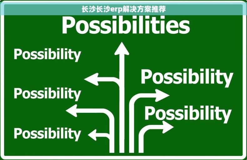 长沙长沙erp解决方案推荐