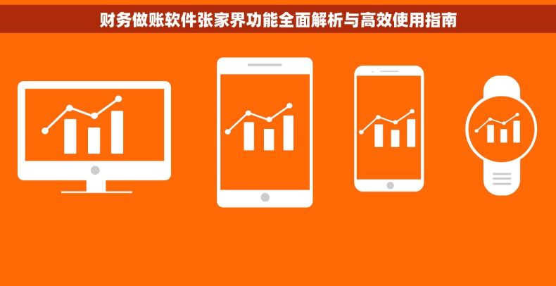 财务做账软件张家界功能全面解析与高效使用指南