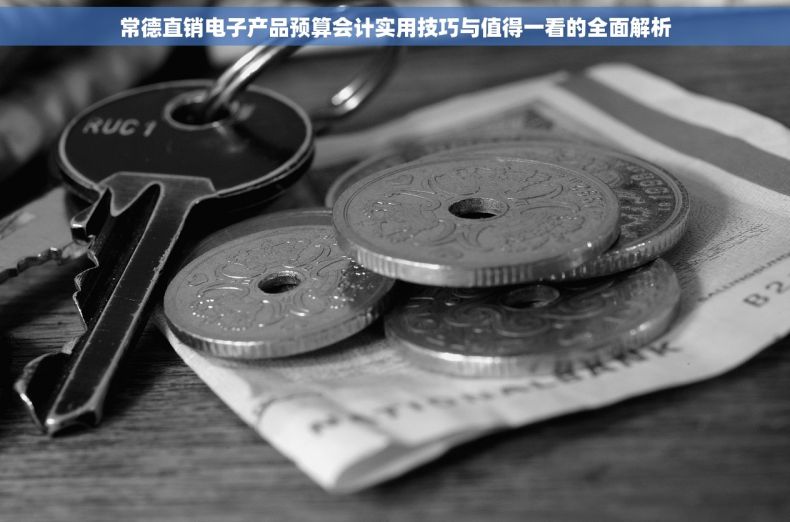 常德直销电子产品预算会计实用技巧与值得一看的全面解析