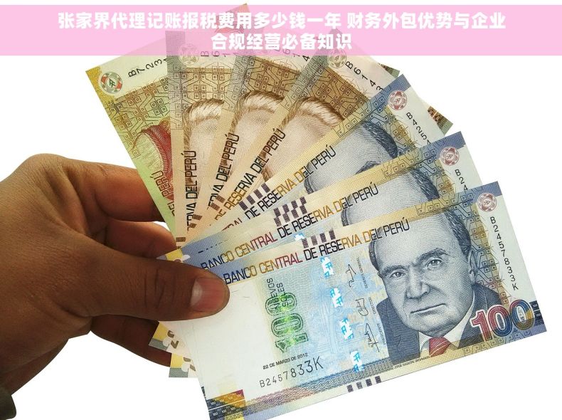 张家界代理记账报税费用多少钱一年 财务外包优势与企业合规经营必备知识