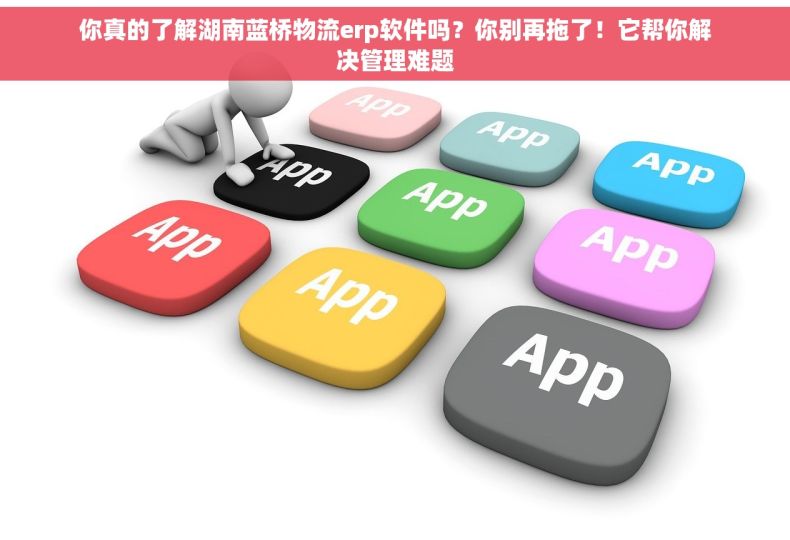 你真的了解湖南蓝桥物流erp软件吗？你别再拖了！它帮你解决管理难题