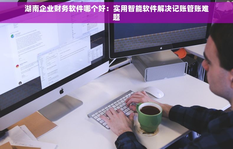 湖南企业财务软件哪个好：实用智能软件解决记账管账难题
