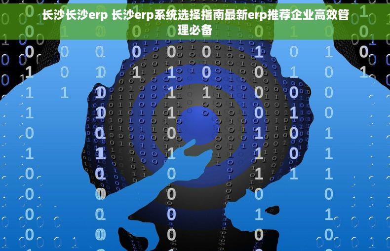 长沙长沙erp 长沙erp系统选择指南最新erp推荐企业高效管理必备