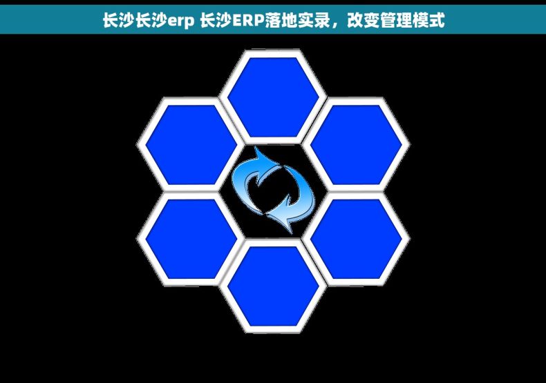 长沙长沙erp 长沙ERP落地实录，改变管理模式
