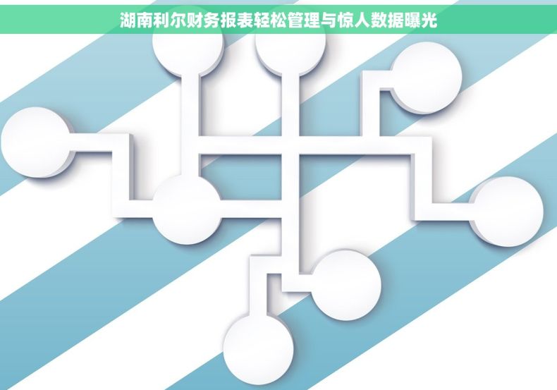 湖南利尔财务报表轻松管理与惊人数据曝光