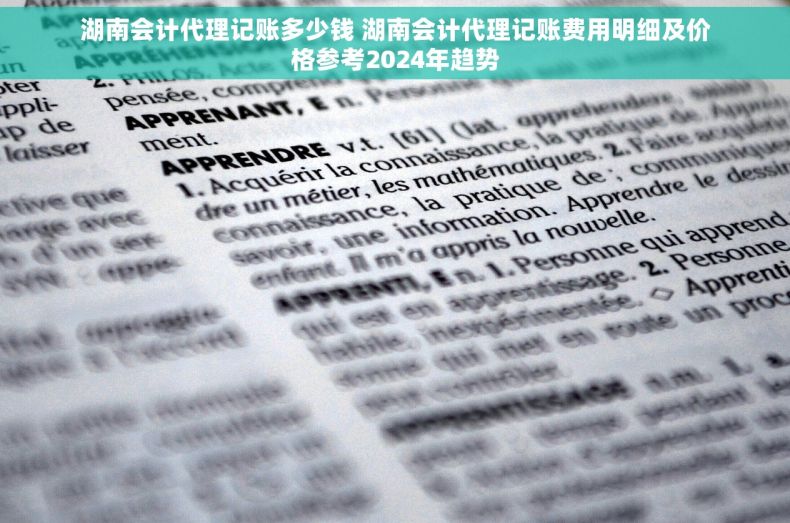 湖南会计代理记账多少钱 湖南会计代理记账费用明细及价格参考2024年趋势