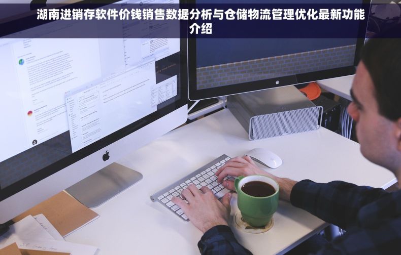 湖南进销存软件价钱销售数据分析与仓储物流管理优化最新功能介绍