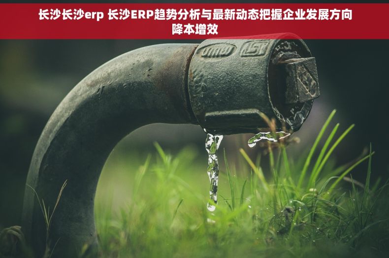长沙长沙erp 长沙ERP趋势分析与最新动态把握企业发展方向降本增效