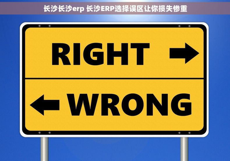 长沙长沙erp 长沙ERP选择误区让你损失惨重
