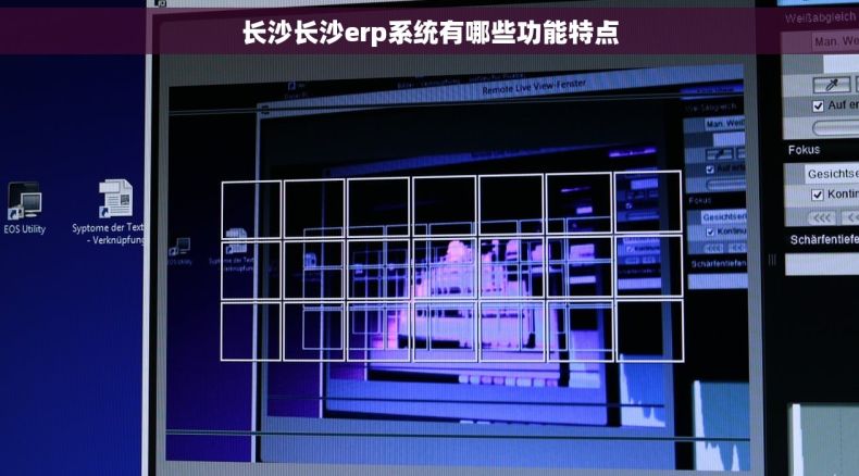 长沙长沙erp系统有哪些功能特点