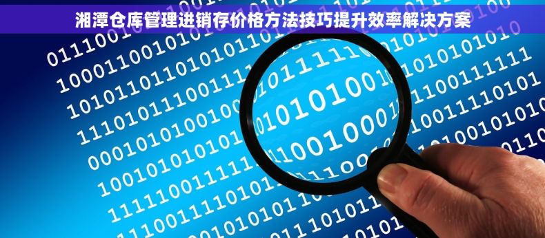 湘潭仓库管理进销存价格方法技巧提升效率解决方案