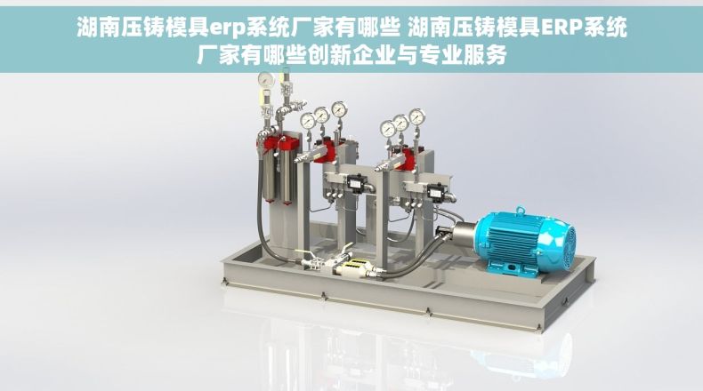 湖南压铸模具erp系统厂家有哪些 湖南压铸模具ERP系统厂家有哪些创新企业与专业服务