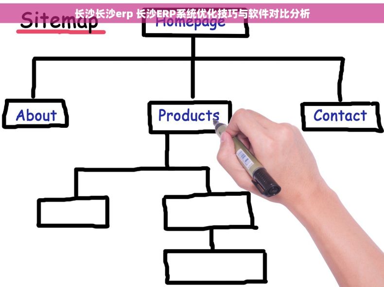 长沙长沙erp 长沙ERP系统优化技巧与软件对比分析