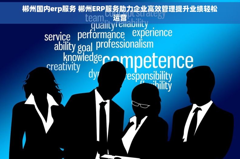 郴州国内erp服务 郴州ERP服务助力企业高效管理提升业绩轻松运营