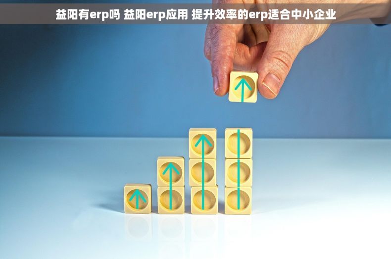 益阳有erp吗 益阳erp应用 提升效率的erp适合中小企业