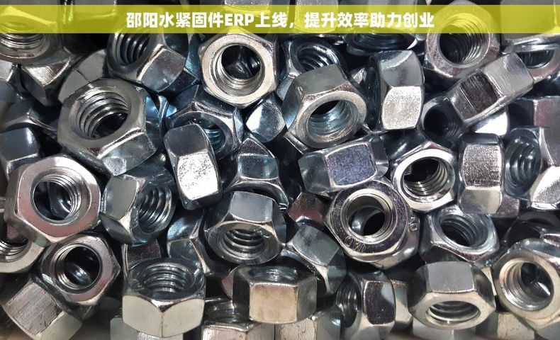 邵阳水紧固件ERP上线，提升效率助力创业