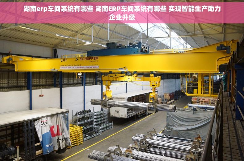 湖南erp车间系统有哪些 湖南ERP车间系统有哪些 实现智能生产助力企业升级