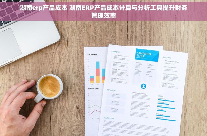 湖南erp产品成本 湖南ERP产品成本计算与分析工具提升财务管理效率