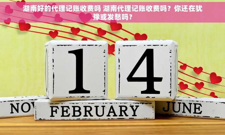 湖南好的代理记账收费吗 湖南代理记账收费吗？你还在犹豫或发愁吗？